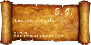 Baumzveig Gyula névjegykártya